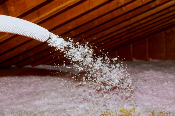 Best Residential Insulation in Kenyon, MN