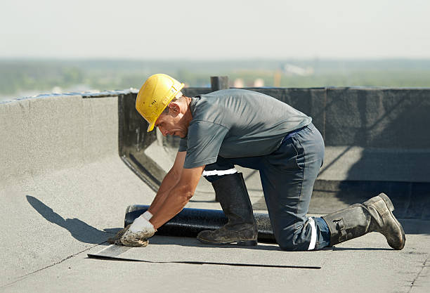 Best Insulation Installation Services in Kenyon, MN