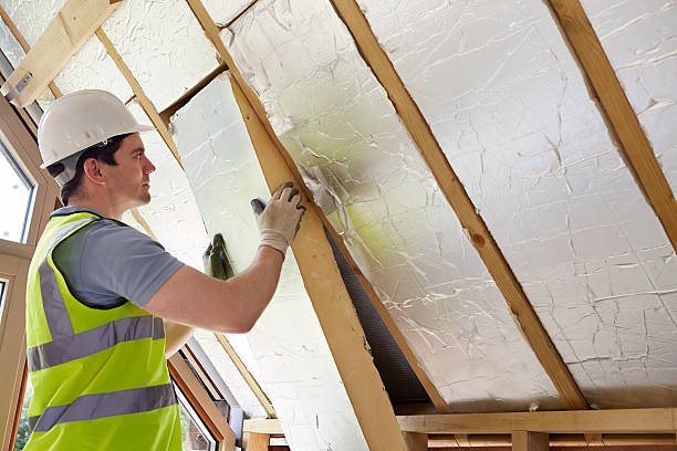 Best Residential Insulation in Kenyon, MN